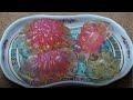 Citrus Osmanthus Flower Jelly with Lychee Rose Filling | Easy Dim Sum Recipe