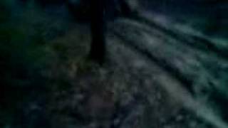 bashan in mud 2