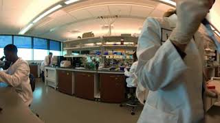 More Than a Classroom: Research & Innovation | UNT Health Fort Worth
