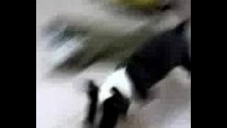 baowo~! damn SHIT^^