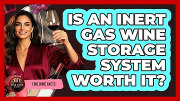 Is An Inert Gas Wine Storage System Worth It?