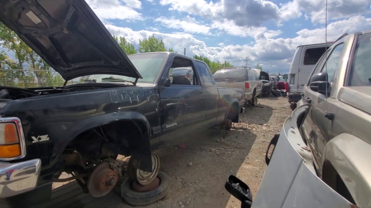 Junk Yard Cherries Clean 1st Generation Dodge Dakota YouTube