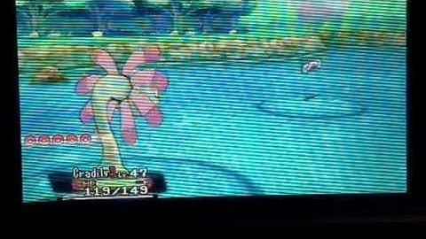 (FOYT) ORAS shiny Barboach