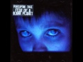 Porcupine tree  my ashes