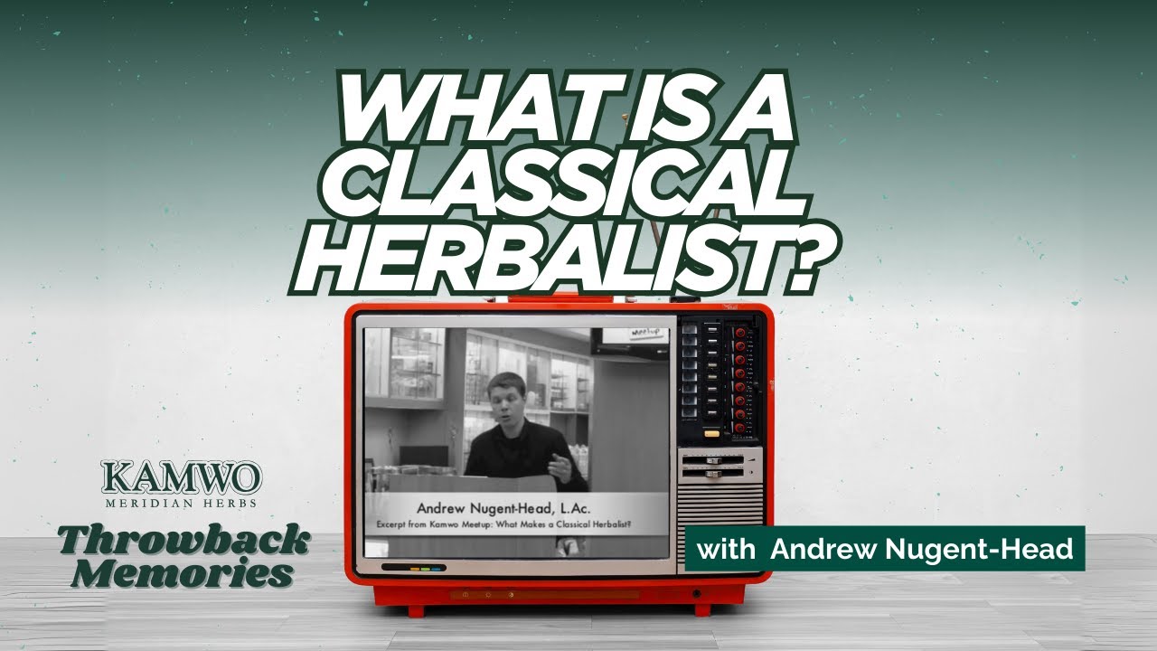 What is a Classical Herbalist?  Kamwo Meetup with Andrew Nugent-Head, L.Ac.