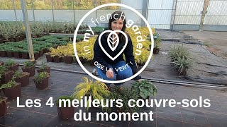 Les 4 Meilleurs Couvre Sols Du Moment - Youtube