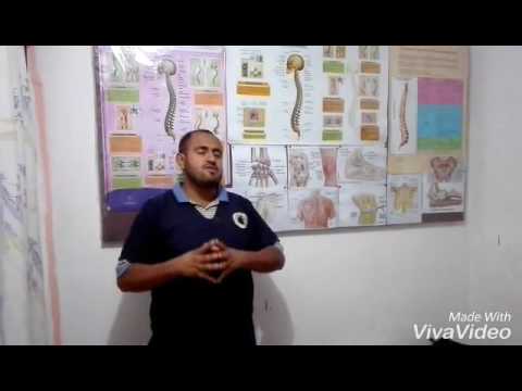 ancestral definition Quiropraxia. Ajuste y alineamiento de columna vertebral