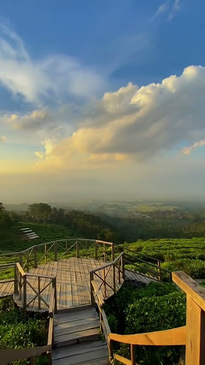 Sunset kebun teh Jamus Ngawi #storytime #storywa #jowopride #galaubrutal