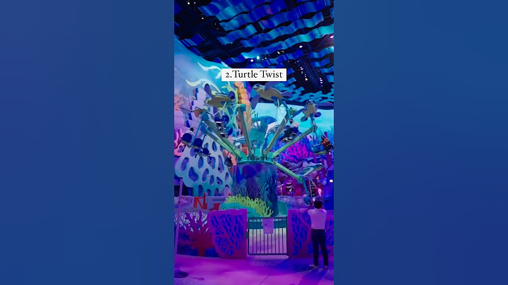 5 Best Rides At Sea World Abu Dhabi