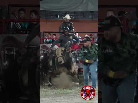 UNA MONTA TRES PORRAZOS.!!