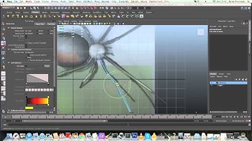 CG Spider timelapse , part 1 - modeling and sculpt