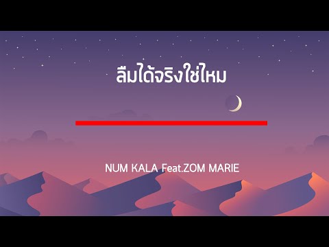 ลืมได้จริงใช่ไหม - NUM KALA Feat.ZOM MARIE เนื้อเพลง
