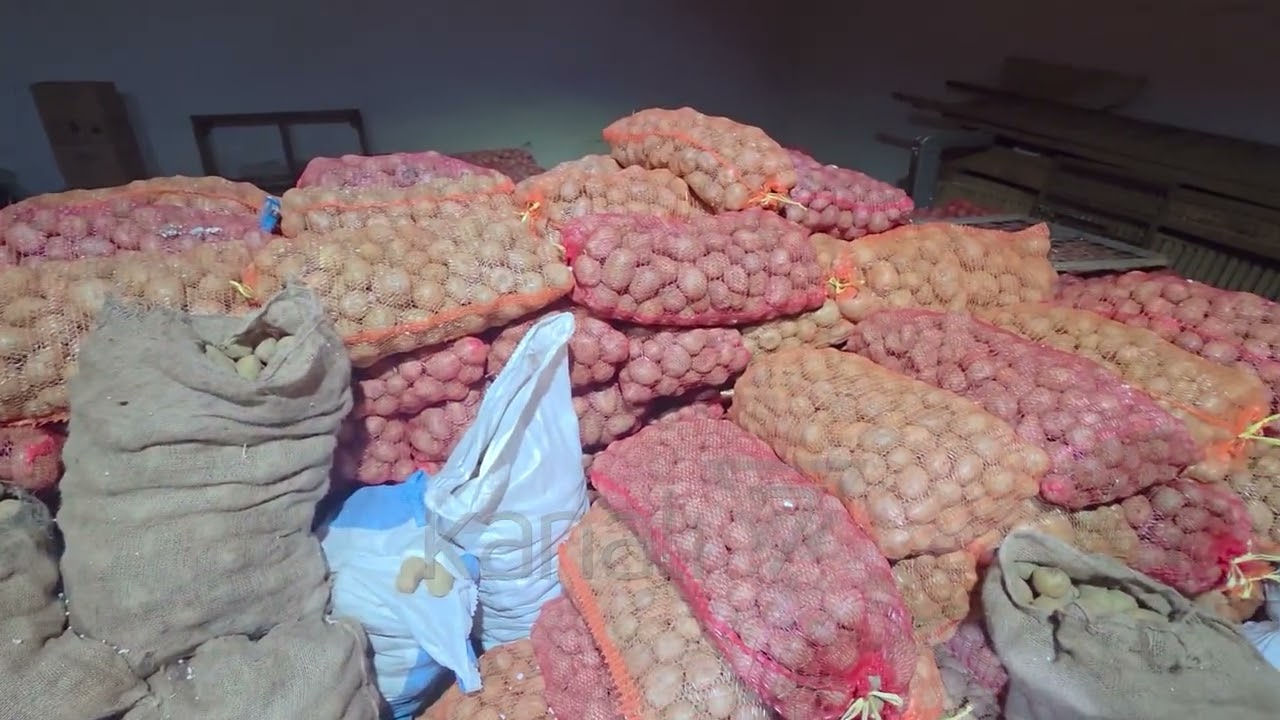 FSHATI QË JETON ME UJË E PATATE. BUZAISHTA NË MOKËR NUK ËSHTË BRAKTISUR NGA BANORËT