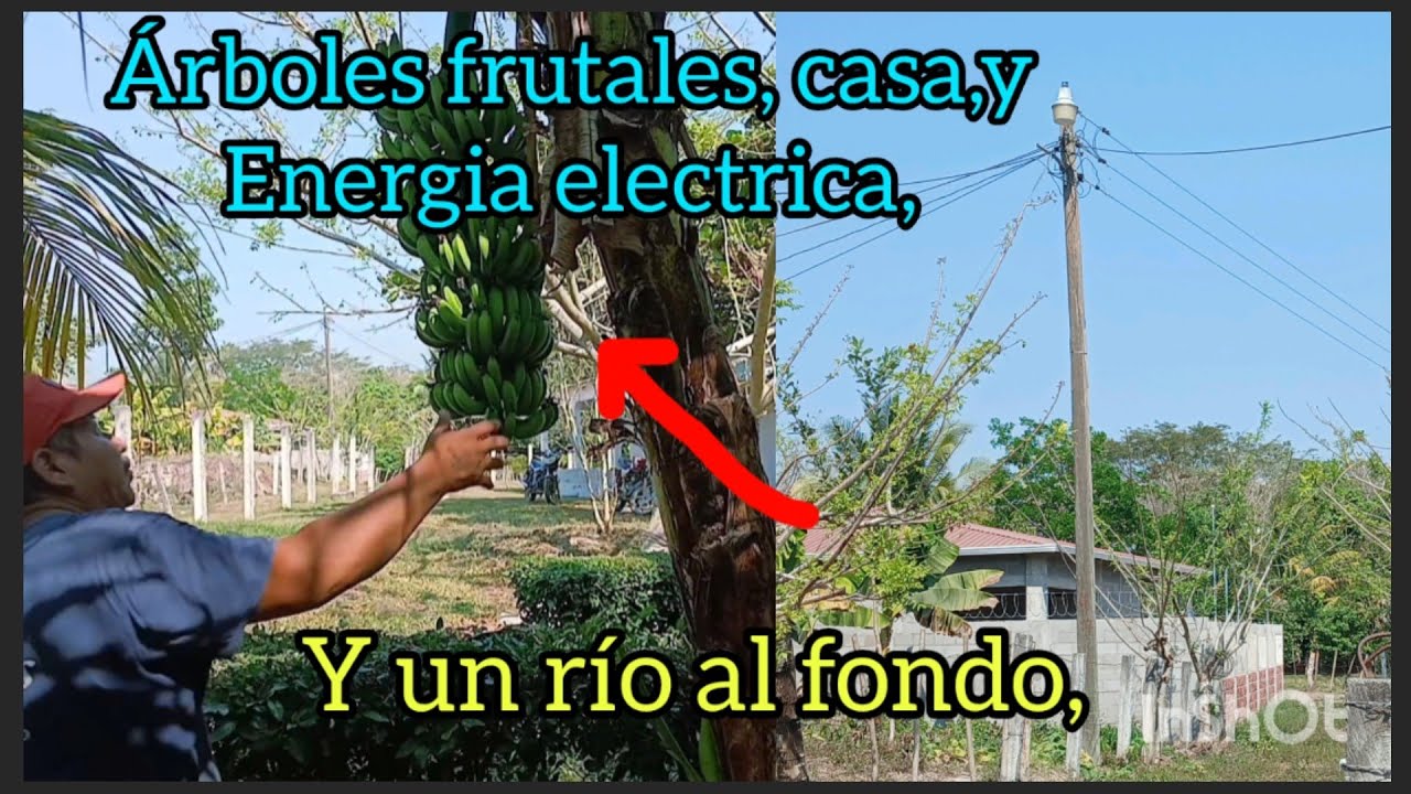   Belleza de terreno, 20x109 metros,con casa y escrituras registrada. 502,53446759,Q400,mil negocia-