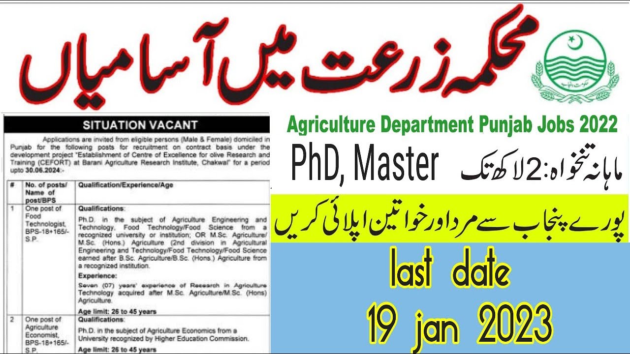 Agriculture department Punjab jobs 2022 - 2023 | How to Online Apply in Agriculture department