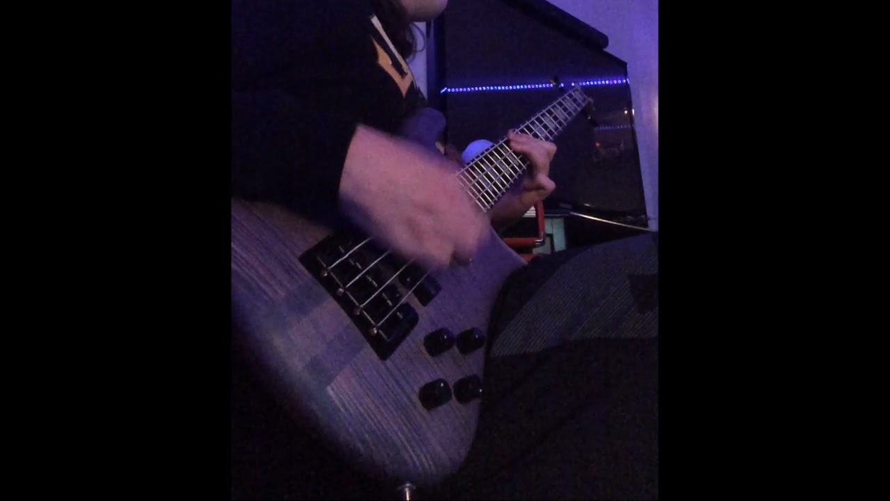 Pantera Mouth for War Bass Cover YouTube