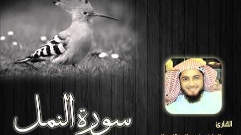 سورة النمل للشيخ عبدالعزيز بن صالح الزهراني ll المصحف كامل من ليالي رمضان HQ