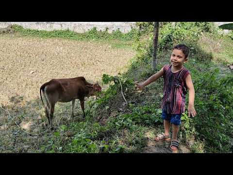 ভিডিও: তাই আরামদায়ক এবং গৃহপালিত: লিওনিড আগুটিন অ্যাঞ্জেলিকা ভারুমের সাথে একটি পারিবারিক ছবি দেখিয়েছিলেন