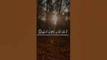 تلاوة هادئة تريح الأعصاب 😴🎧 القارئ: اسلام صبحى سورة: السجده 💙❤