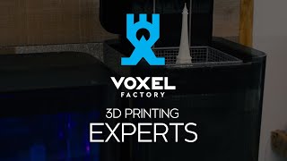 Voxel Factory - 3D Printing Experts