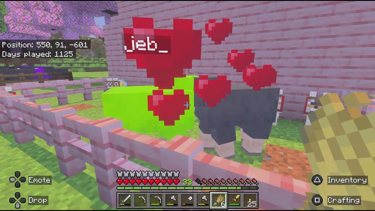 Minecraft - Rainbow Sheep Named jeb_