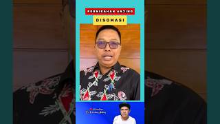 PERNIKAHAN ANJING JOJO DAN LUNA DI SOMASI