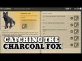 CATCHING THE CHARCOAL FOX GUIDE | LAST DAY ON EARTH v.1.24