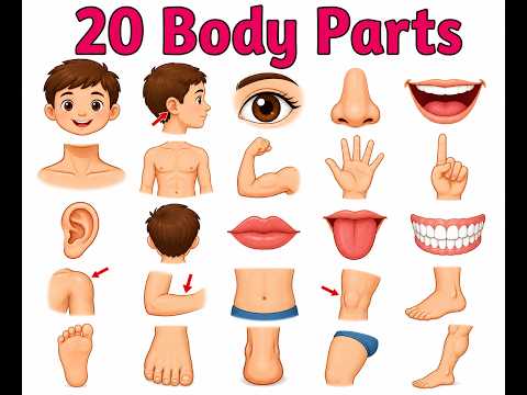 20 शरीर के अंगों के नाम | Learn Body Parts Names with Pictures for Kids #bodypartsnames