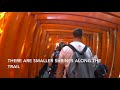 Fushimi Inari Shrine 伏見稻荷大社 (Using Sony FDR-X3000 4K Video)