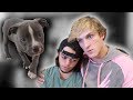 Evan's dog died...