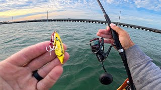 UNCUT Florida Keys Kayak Fishing | Jigging Small Bridges With Micro/Metal & Other Small Lures
Fishing small metal jigs, Gulp!, and crappie jigs to try and improve upon my catches from the last trip for better mangrove snapper.
▬▬Lures Used▬▬
20g Shore Skid Jig - JDM import https://asianportal-fishing.com/products/036282957107?srsltid=AfmBOooQL57q2k5Iy67ktzhD6-gCe71Ac8JVmKsvHBUzoXkNhwrM-H2k
2 Strike King Slab Slanger - https://amzn.to/42aehkh
Rigged on 1/8 oz Strike King Mr. Crappie - https://amzn.to/40tYaNx
3 Gulp Shrimp - https://amzn.to/4jdHbWM
Rigged on 3/16 Barefoot Jig - https://barefootcatsandtackle.com/shop/ols/products/barefoot-jig
1 Gulp Minnow - https://amzn.to/409rqrs
▬▬Setups Used▬▬
Fenwick HMG Inshore M - https://bassproshops.vzck.net/zNMXvG
Daiwa Fuego LT 2000 - https://amzn.to/4f6m5qk
Spooled w 10lb Sufix 832 Advanced - https://amzn.to/3OJSFU4
20lb leader - https://amzn.to/4dZ5NPq
Jigging World Night Ranger Custom Build Medium - https://www.tackleworld.com/products/jigging-world-night-ranger-72-custom-spinning-rods?_pos=2&_sid=d5a34b109&_ss=r&ref=1qf4xxkai8
Shimano Vanford 2500 - https://amzn.to/4gLDBRH
Vanford Power Handle - https://www.tackleworld.com/products/jigging-world-power-handle-for-shimano-inshore-spinning-reels?_pos=5&_sid=73187978c&_ss=r&ref=1qf4xxkai8
Spooled w 15lb Berkley x9 - https://amzn.to/3DqEHnR
20lb leader - https://amzn.to/4dZ5NPq
Daiwa Regal 1000 - https://amzn.to/3PtmlVG
BPS Panfish Rod - https://bassproshops.vzck.net/qzz13O
Spooled with 6lb test - https://amzn.to/3DGk6Mh
▬▬Other Stuff▬▬
Kayak Old Town ePDL - https://amzn.to/3XXhhgs
Cooler Bag - https://amzn.to/440HEoj
Cooler Bag 2 - https://amzn.to/4exoueb
Fish finder - https://amzn.to/4at5OtK
VHF Radio - https://amzn.to/3ZrxKK5
▬▬Bottom Sweeper Jigs▬▬
https://lddy.no/fo6r
▬▬Free Salt Strong Lure Offers (Shipping Charge Only)▬▬
Slam Shady - https://bit.ly/EliasVFreeSlamShady
▬▬Awesome Sun Shirts I Wear▬▬
Dunleavy Apparel - https://lddy.no/xder
Above are affiliate links - if you purchase ANYTHING through a link above, I get paid a commission.
▬▬Bonus Weekly Videos!▬▬
Extra weekly raw or tactical videos are posted on the paid Patreon platform - subscribe here:
https://www.patreon.com/eliasvfishing UNCUT Florida Keys Kayak Fishing | Jigging Small Bridges With Micro/Metal & Other Small Lures