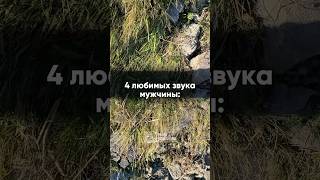 Учёные обнаружили 4 звука, запускающие у мужчины режим абсолютного счастья…