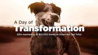 Day of Transformation: Rescue with EAMT Andy