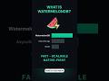 Offline-First React Native? Use WatermelonDB 🍉 #rn #reactnative #mobileappdevelopment #shorts
