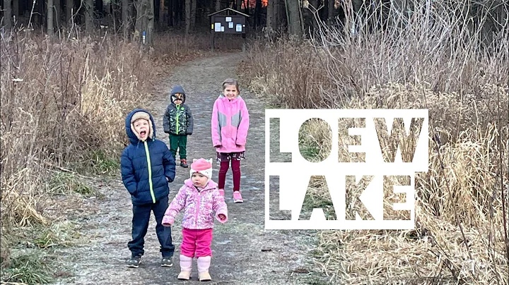 Hiking Loew Lake Unit | Winter Hike | Erin, Wiscon...