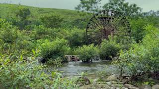 Nature Sounds of a Forest River for Relaxing  Nature meditation music of a Watermill