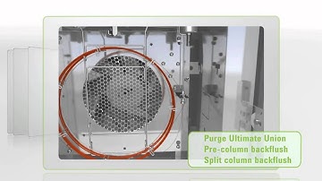 Demonstration of the basic concepts of capillary column backflushing
