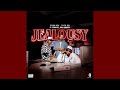 Ceeka RSA & Tyler ICU  - Jealousy (Official Audio) (feat. Leemckrazy & Khalil Harrison) | AMAPIANO