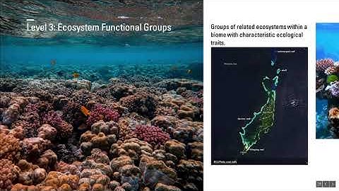 The IUCN Global Ecosystem Typology Presentation JR Ferrer Paris max quality