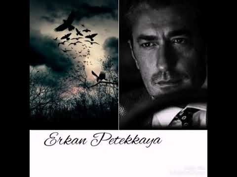 Erkan Petekkaya paramparca şiir