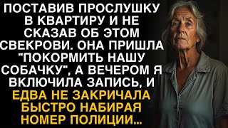 видео: Я ПЛАКАЛ, ЧИТАЯ! ПОСТАВИЛА ПРОСЛУШКУ, СВЕКРОВЬ картинка: Я ПЛАКАЛ, ЧИТАЯ! ПОСТАВИЛА ПРОСЛУШКУ, СВЕКРОВЬ