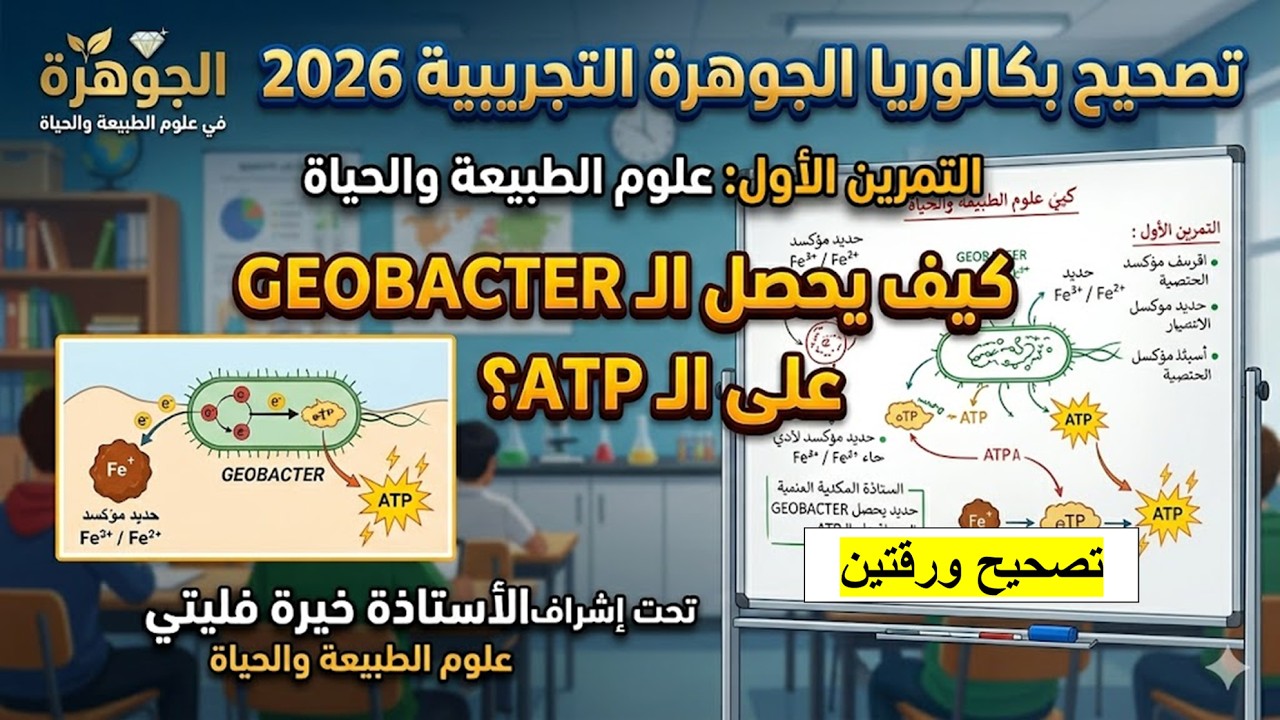 تصحيح بكالوريا  الجوهرة التجريبية 2026