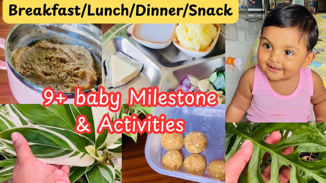 9 months baby Breakfast , lunch , Dinner & Snacks | Developmental milestone | baby Activities