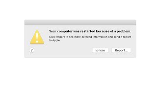 Your Computer Was Restarted Because Of A Problem On macOS