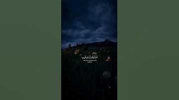 أكتب شئ توجر عليه ♥️😴 | القارئ ياسر الدوسري