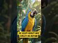 The Sleepy Parrot Who Forgot His Bedtime