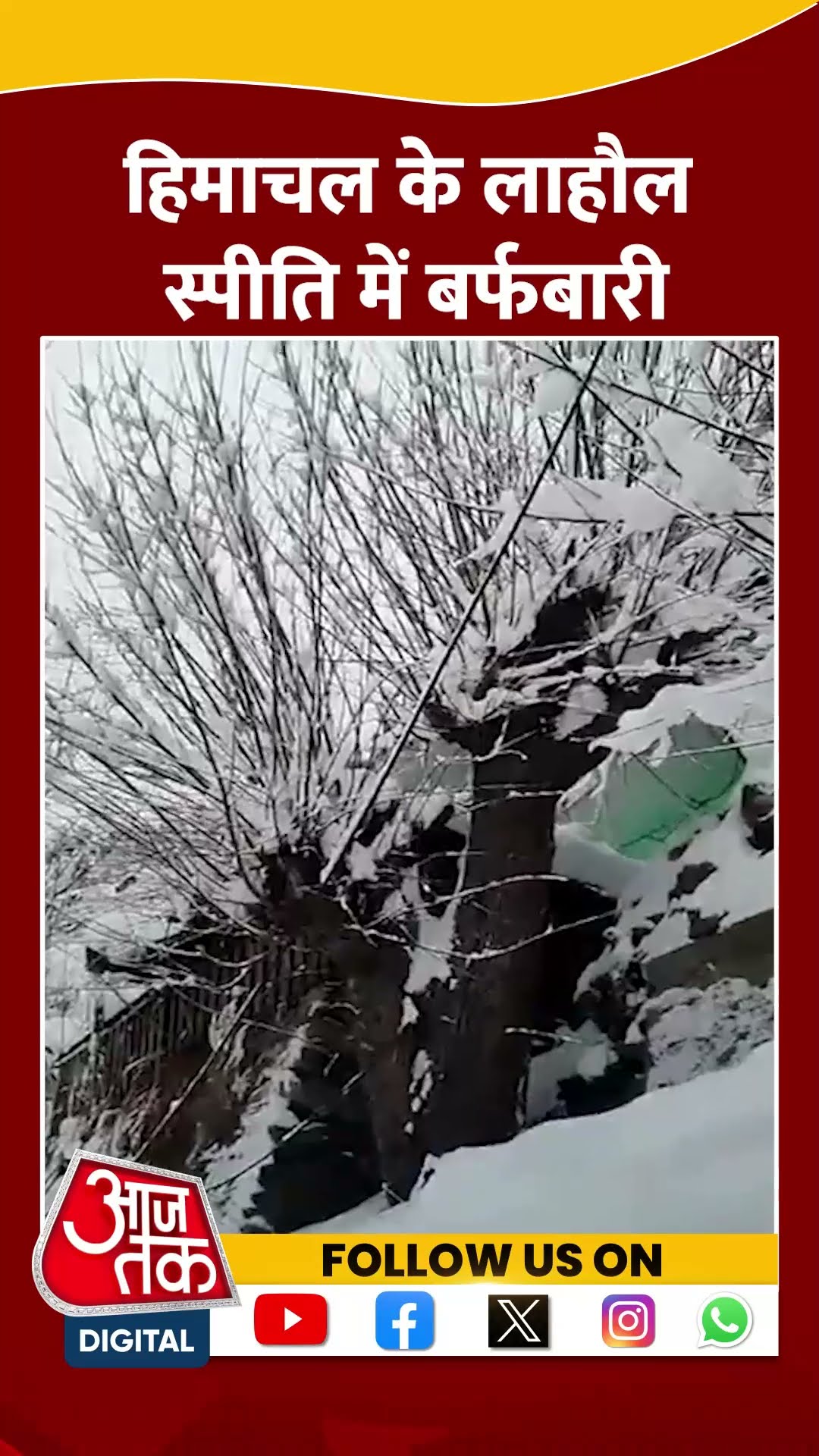 Himachal के Lahaul Spiti में बर्फबारी #shorts #shortsvideo #snowfall