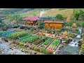 Too Many Animals, Massive Harvests & a Beautiful Farm House… This Homestead Is Unreal