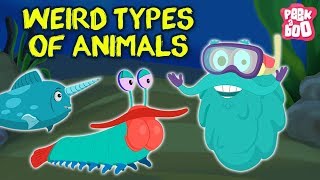 Weird Animals In The World  The Dr. Binocs Show |  Best Learning Videos For Kids | Dr Binocs