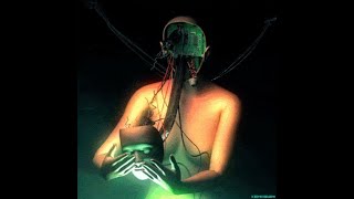 Scolopendra Rex | Electronic Music Production | The Mute colors @PollyponyRec